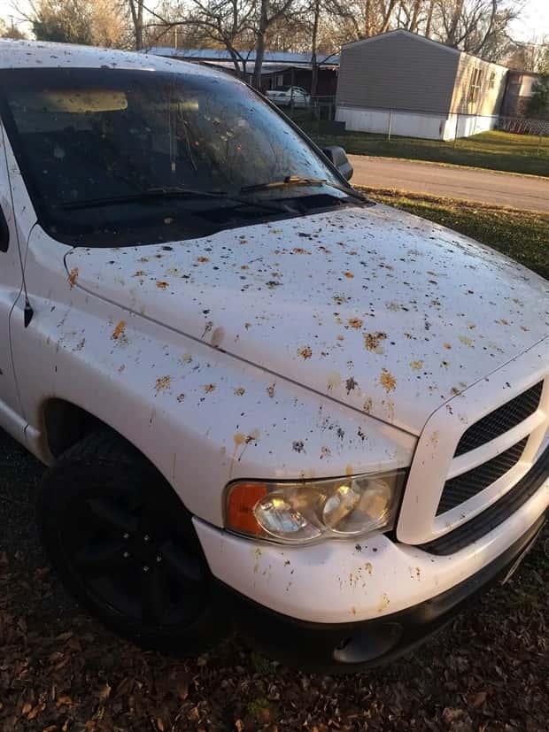 Shit Happens Regularly, Get Used To It #372 (24 photos)