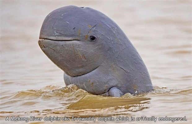 Interesting Pictures with Captions #197 (22 photos)