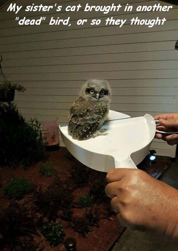 Interesting Pictures with Captions #197 (22 photos)