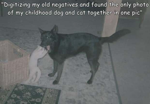 Interesting Pictures with Captions #197 (22 photos)