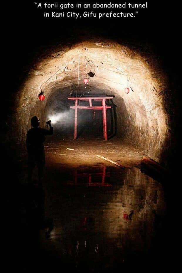 pictures with captions 18 3 Interesting Pictures with Captions #200 (21 photos)