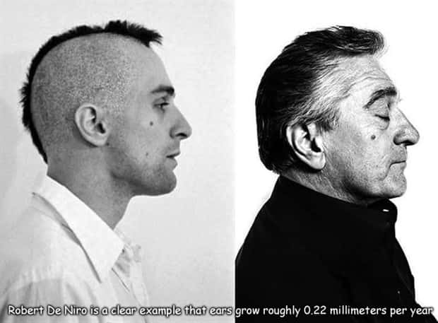 Interesting Pictures with Captions #199 (23 photos)