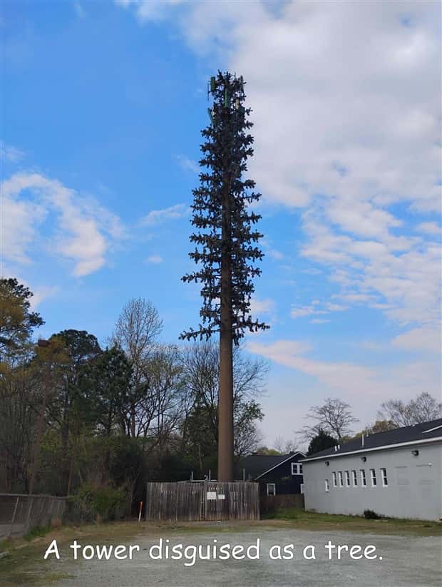 pictures with captions 2 3 Interesting Pictures with Captions #200 (21 photos)