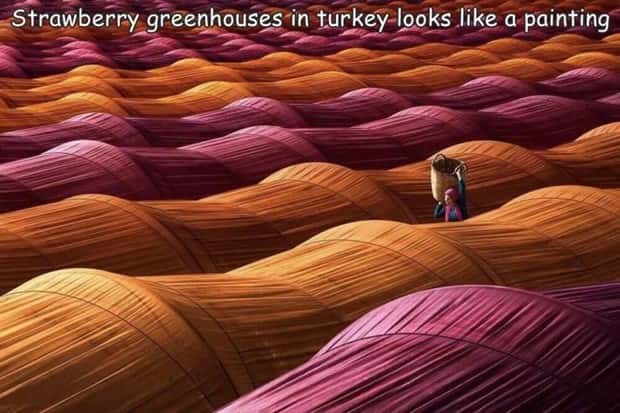 Interesting Pictures with Captions #199 (23 photos)