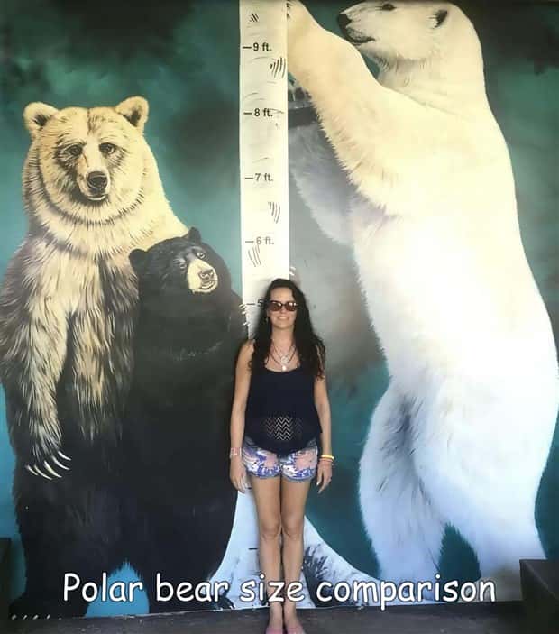 Interesting Pictures with Captions #199 (23 photos)