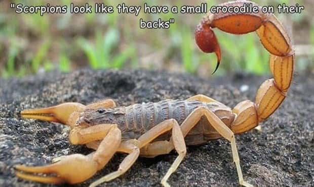 pictures with captions 6 3 Interesting Pictures with Captions #200 (21 photos)