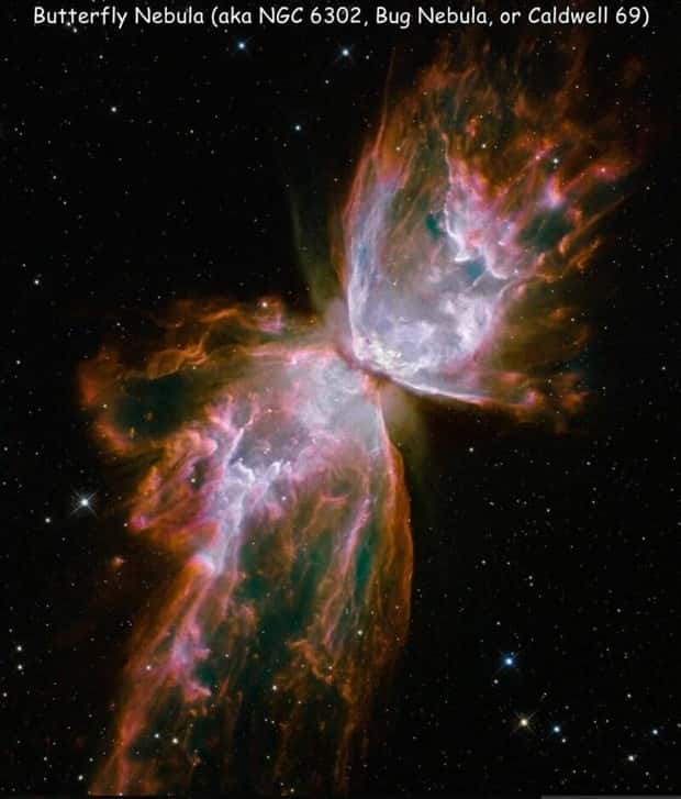 Interesting Pictures with Captions #199 (23 photos)