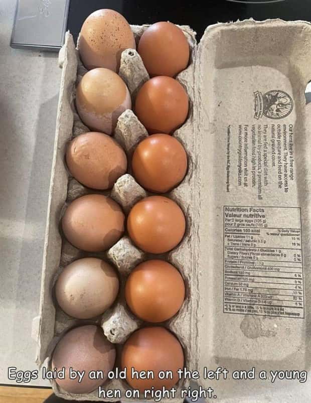 pictures with captions 8 3 Interesting Pictures with Captions #200 (21 photos)