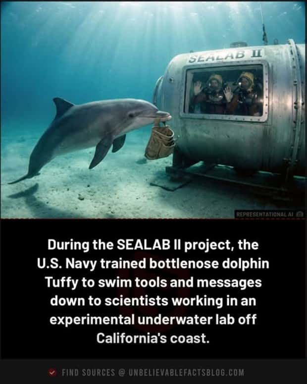 random facts 14 Cool and Interesting Facts #473 (19 photos)