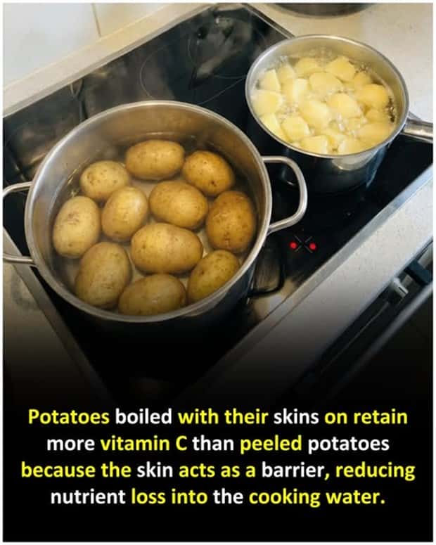 Cool and Interesting Facts #475 (25 photos)