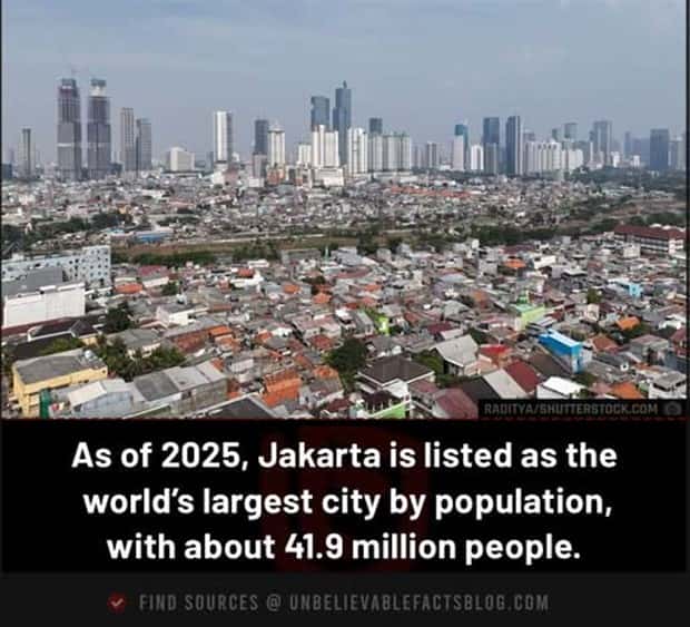 random facts 2 Cool and Interesting Facts #473 (19 photos)