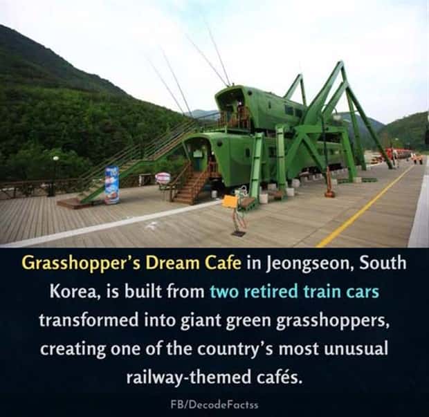 Cool and Interesting Facts #475 (25 photos)