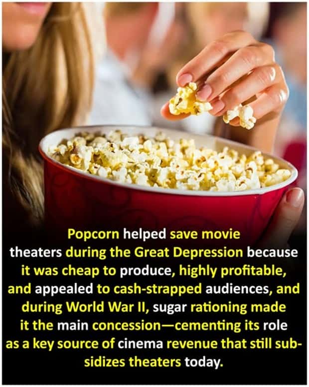 random facts 3 Cool and Interesting Facts #473 (19 photos)