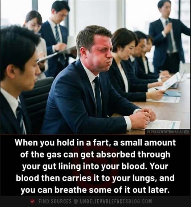 random facts 7 Cool and Interesting Facts #473 (19 photos)