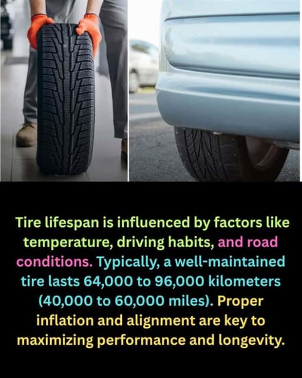 Cool and Interesting Facts #471 (20 photos)