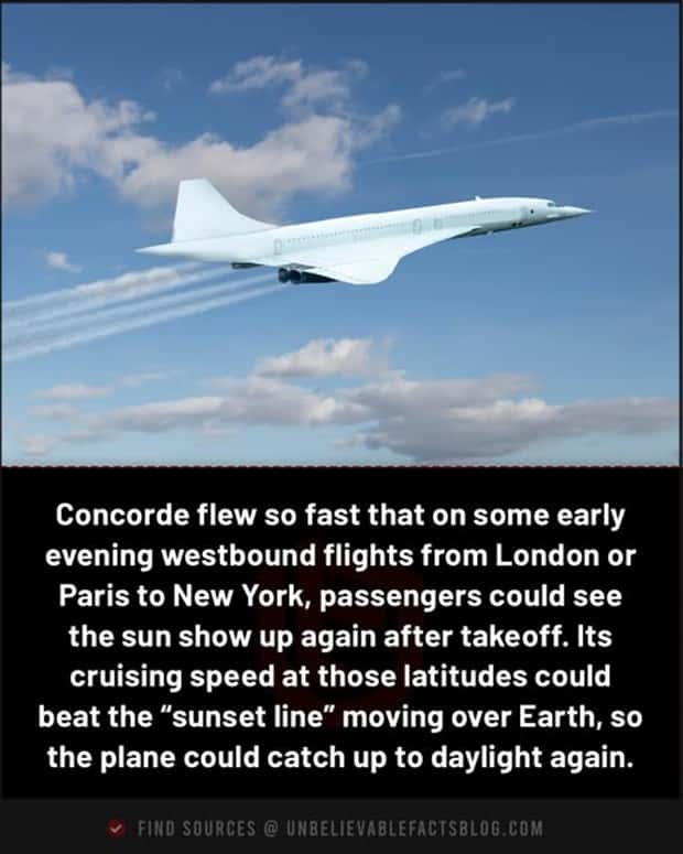 Cool and Interesting Facts #471 (20 photos)