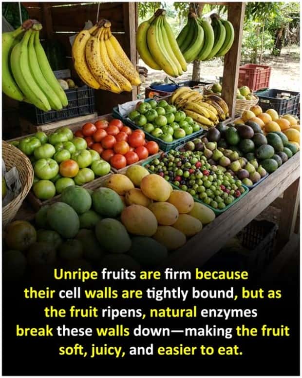 Cool and Interesting Facts #471 (20 photos)