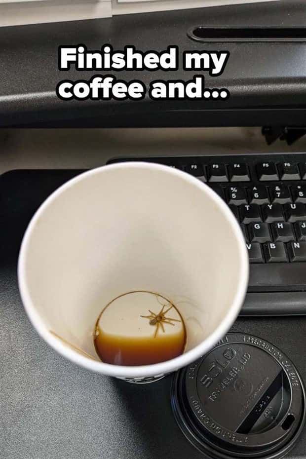 Shit Happens Regularly, Get Used To It #371 (22 photos)