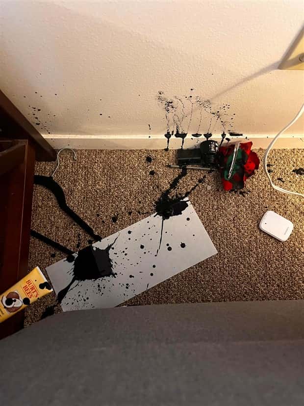 Shit Happens Regularly, Get Used To It #374 (23 photos)