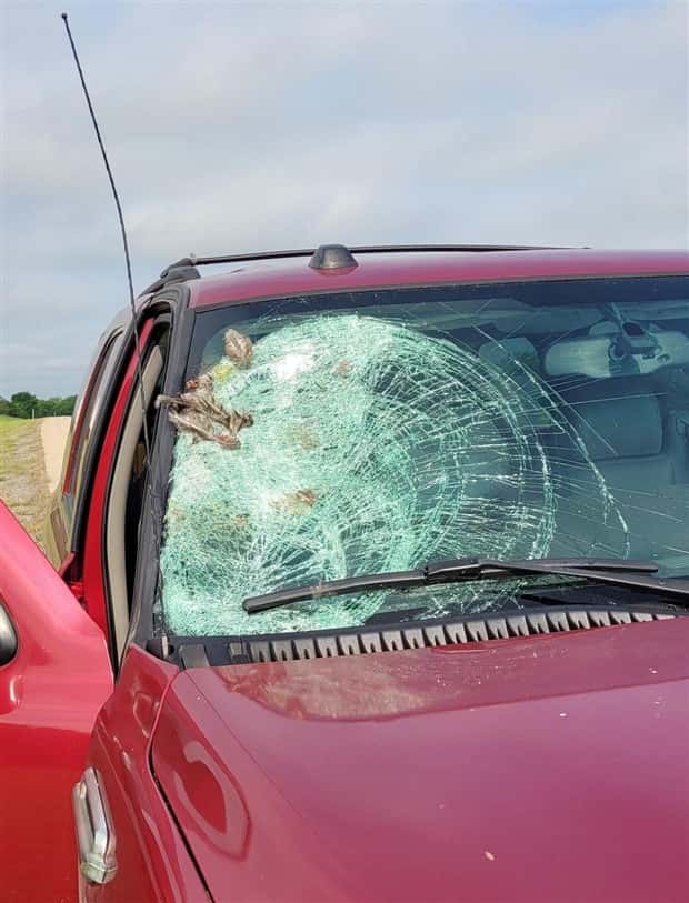 Shit Happens Regularly, Get Used To It #374 (23 photos)