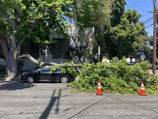 Shit Happens Regularly, Get Used To It #374 (23 photos)