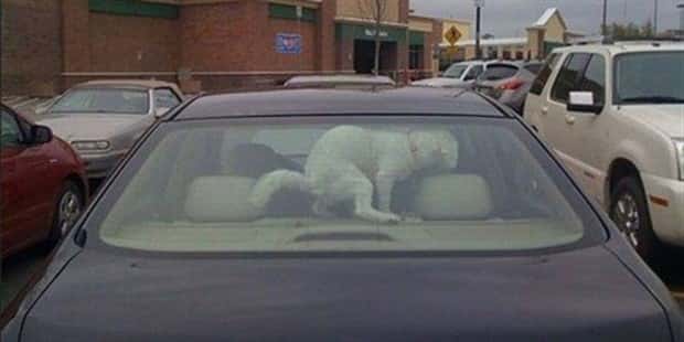 Shit Happens Regularly, Get Used To It #374 (23 photos)