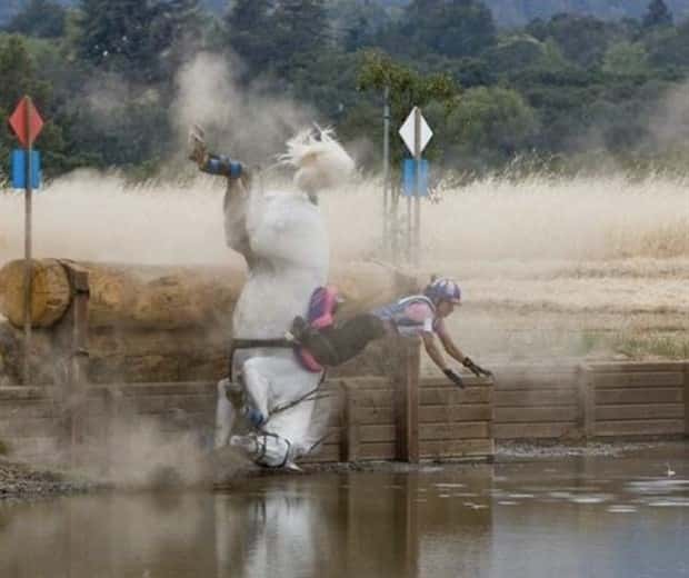 Shit Happens Regularly, Get Used To It #374 (23 photos)