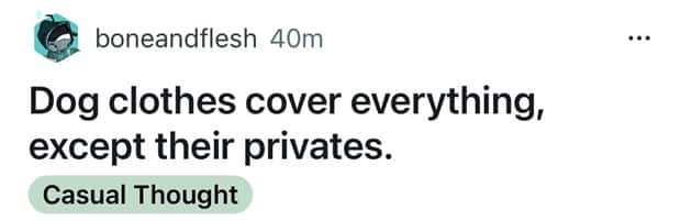 Funny Shower Thoughts That Sound Smart #199 (22 photos)