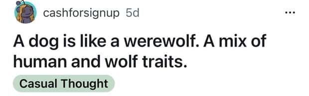 Funny Shower Thoughts That Sound Smart #199 (22 photos)