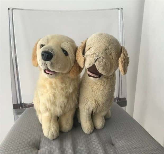 Ordinary Items Changed By Constant Use (22 photos)