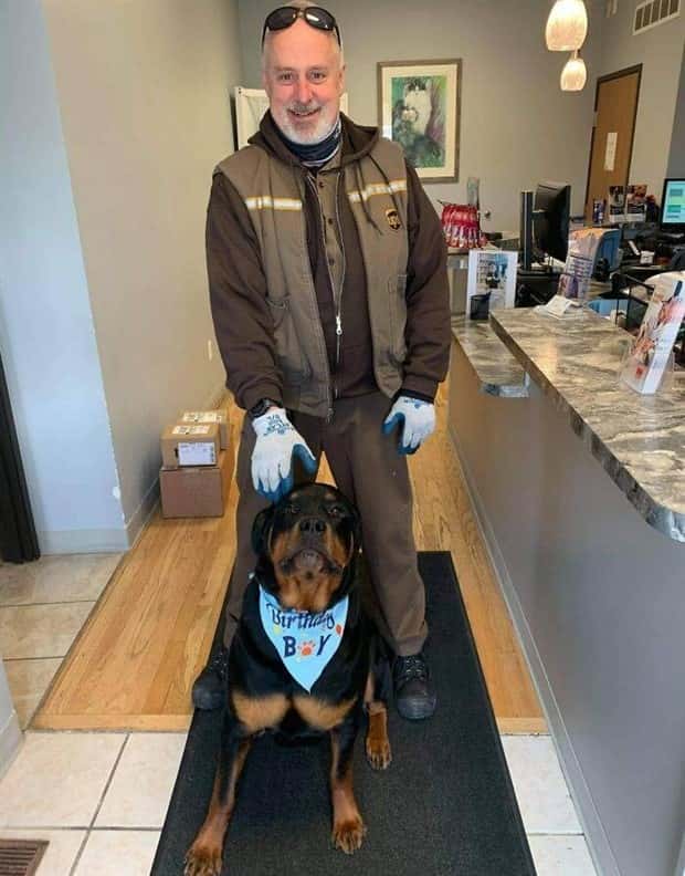 Kind UPS Drivers Adoring Local Dogs (30 photos)