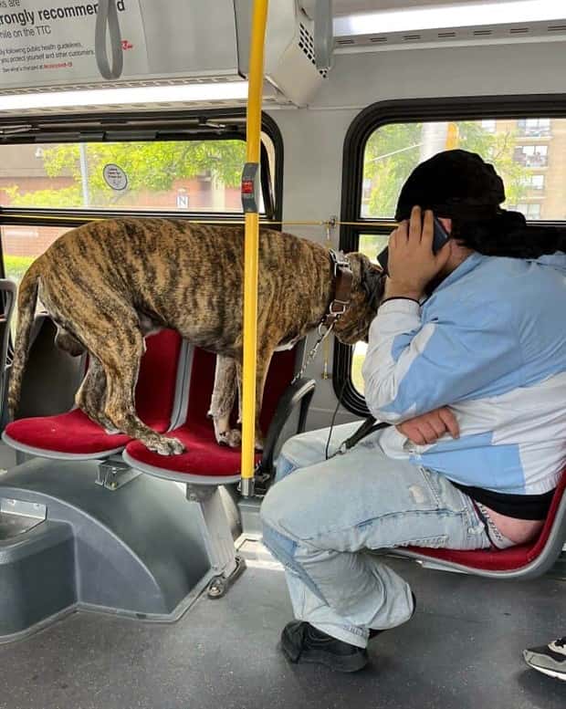 30 Awkward Encounters During Public Transit (30 photos)