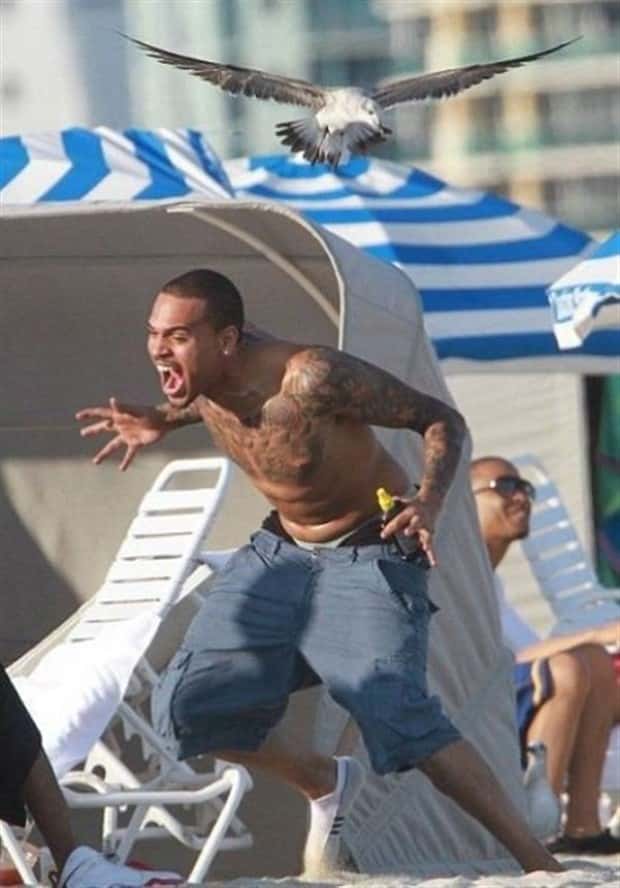 Beach Situations That Defy Explanation (27 photos)