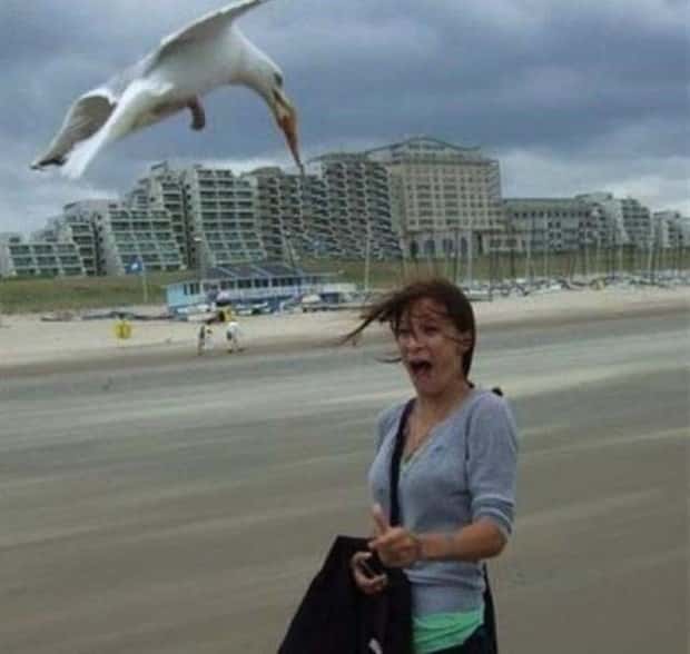 Beach Situations That Defy Explanation (27 photos)