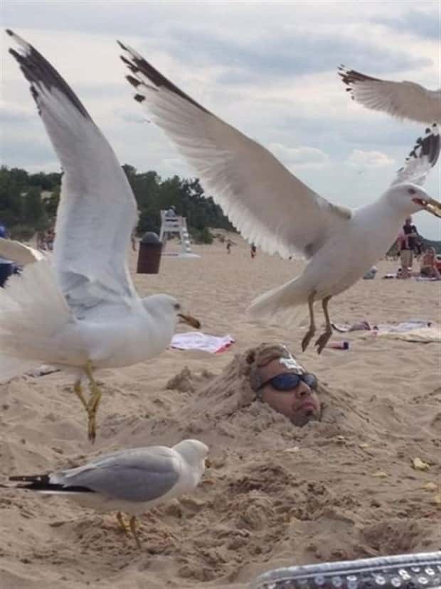 Beach Situations That Defy Explanation (27 photos)