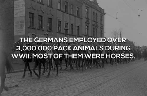 Real Stories Found In WWII Facts (17 photos)