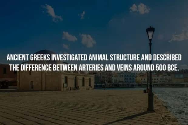 Short Curious Facts About Ancient Greece (15 photos)