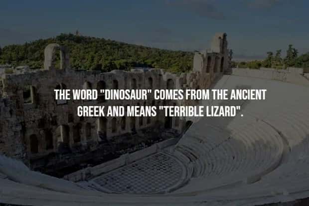 Short Curious Facts About Ancient Greece (15 photos)