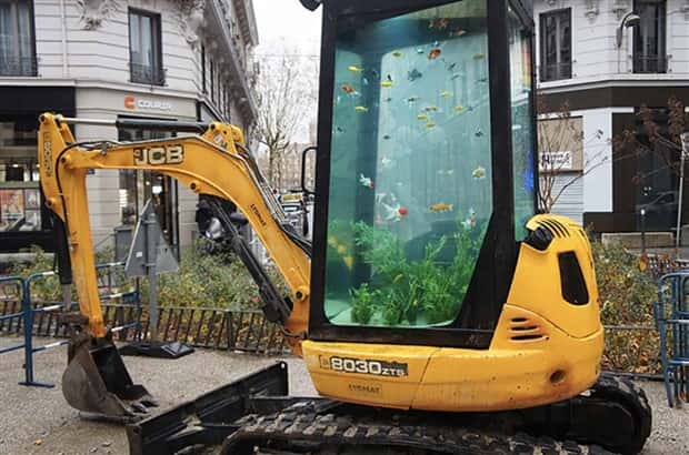 Epic Fish Tanks Making Fish Proud (38 photos)