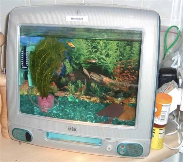 Epic Fish Tanks Making Fish Proud (38 photos)
