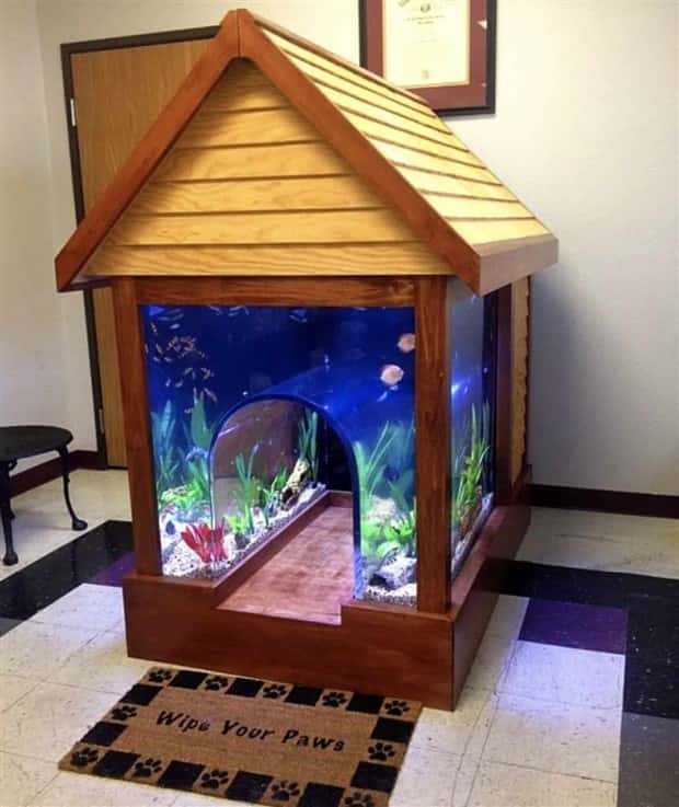 Epic Fish Tanks Making Fish Proud (38 photos)