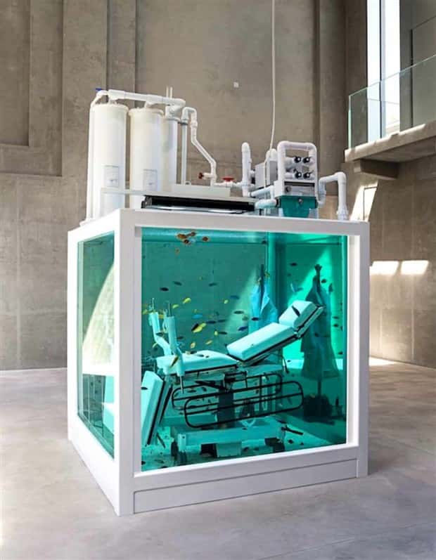 Epic Fish Tanks Making Fish Proud (38 photos)