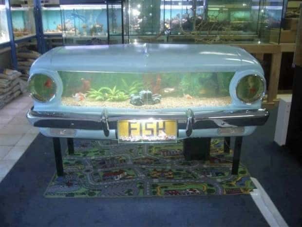 Epic Fish Tanks Making Fish Proud (38 photos)