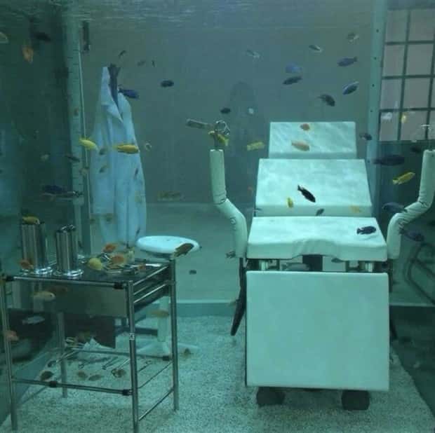 Epic Fish Tanks Making Fish Proud (38 photos)