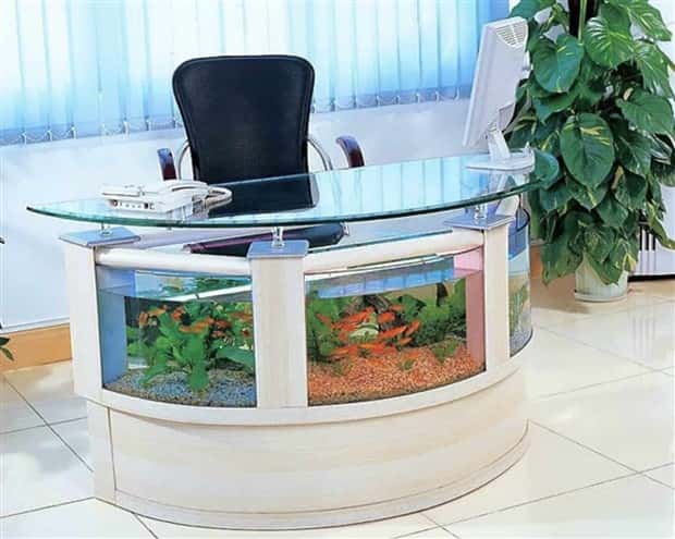 Epic Fish Tanks Making Fish Proud (38 photos)