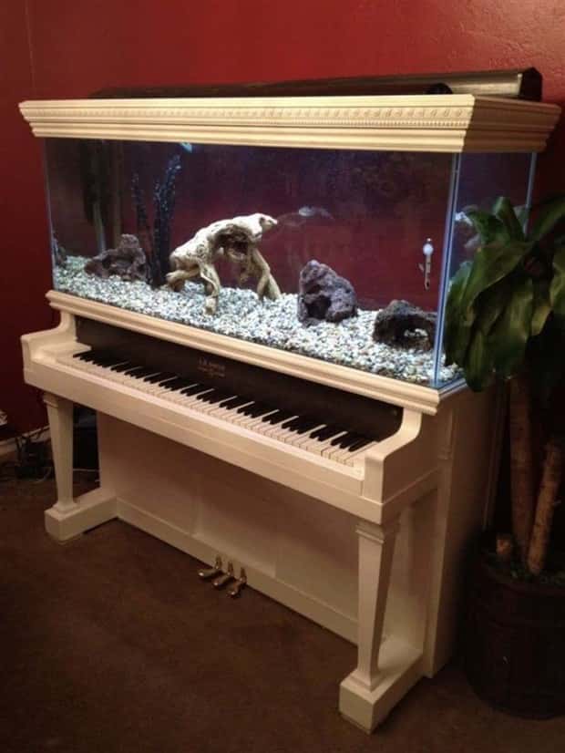 Epic Fish Tanks Making Fish Proud (38 photos)