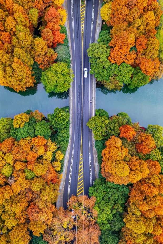 awesome photos 1 2 Awesome Pictures You Shouldn’t Miss #201 (20 photos)