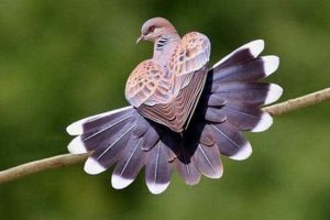 Awesome Pictures You Shouldn’t Miss #200 (18 photos)