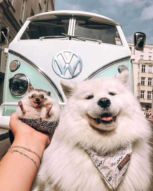 awesome photos 11 Awesome Pictures You Shouldn’t Miss #199 (19 photos)