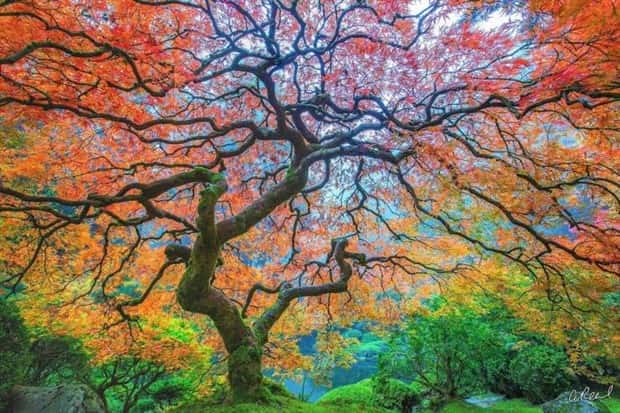awesome photos 15 Awesome Pictures You Shouldn’t Miss #199 (19 photos)